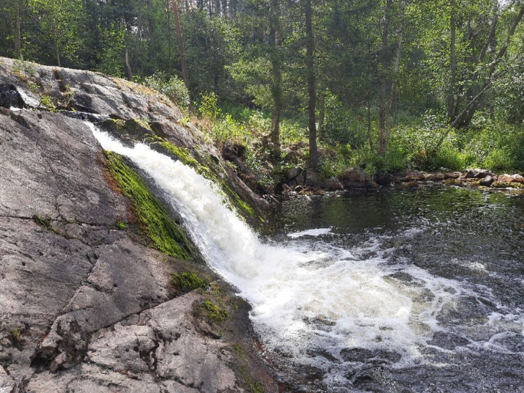 photo 2021 08 02 17 55 09