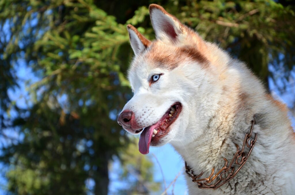 shutterstock 124844965