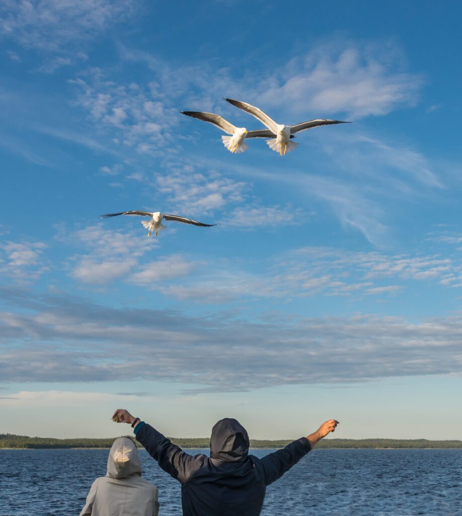 shutterstock 250573954