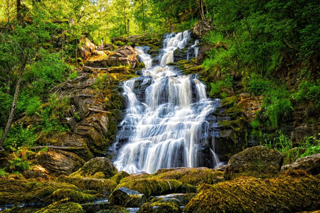shutterstock 257400238