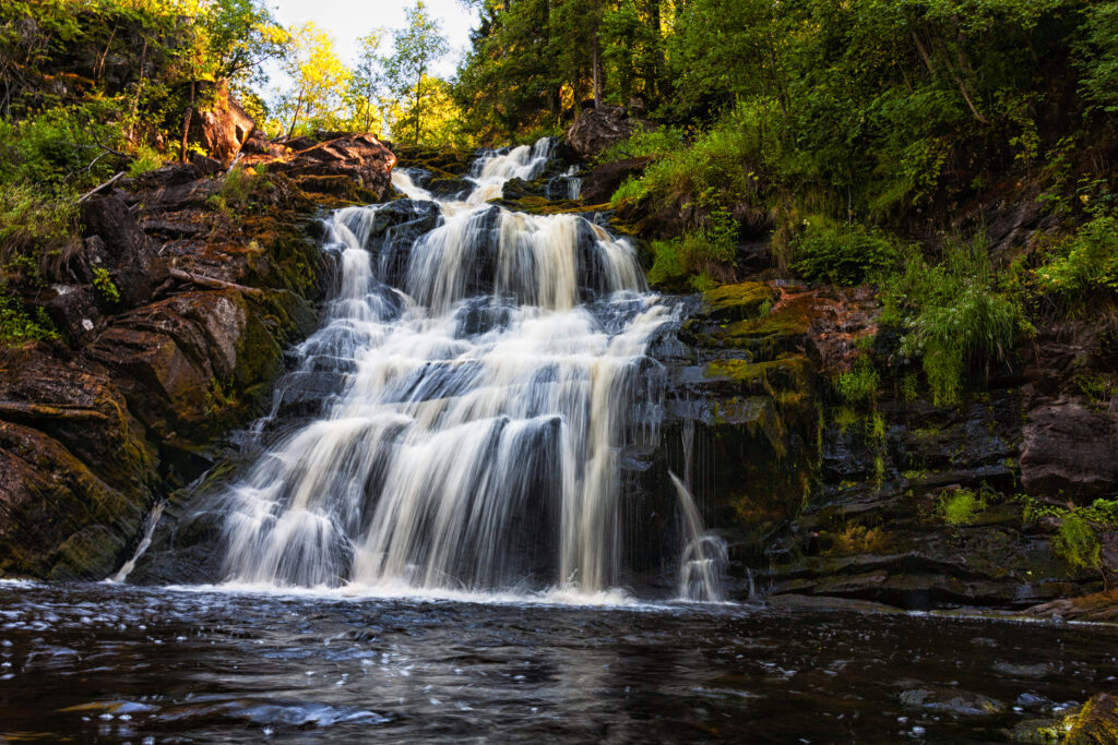 shutterstock 541668781